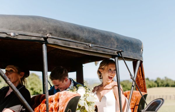 The wedding of Collin and Tiffani Gallery 5