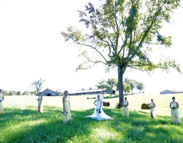 Reception Venues Listing Category Abby Manor Events Abby Manor Events