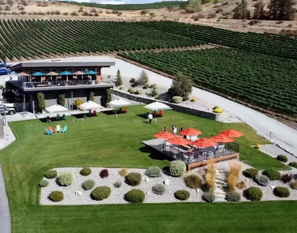 Reception Venues Listing Category Amos Rome Vineyards Amos Rome Vineyards