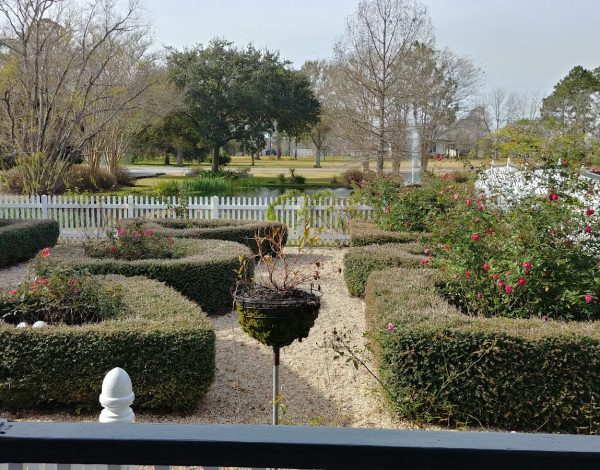 Reception Venues Listing Category Antique Rose Ville Antique Rose Ville