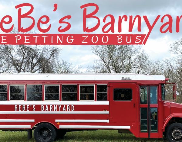 Reception Venues Listing Category BeBes Barnyard BeBes Barnyard