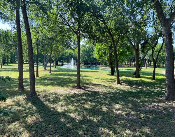 Reception Venues Listing Category Bentwood Texas Bentwood Texas