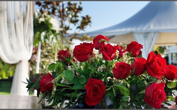 Reception Venues Listing Category Bessemer Mountain Lodge Bessemer Mountain Lodge