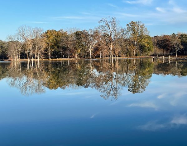 Reception Venues Listing Category C&C by the Lake C&C by the Lake