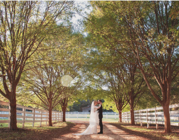 Reception Venues Listing Category Cloverleaf Farm Cloverleaf Farm