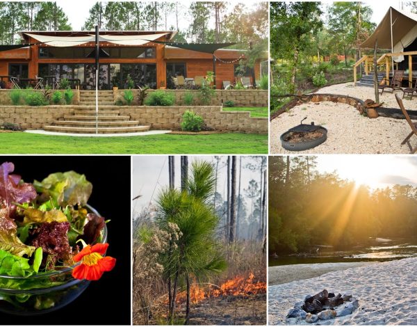 Reception Venues Listing Category Coldwater Gardens Coldwater Gardens