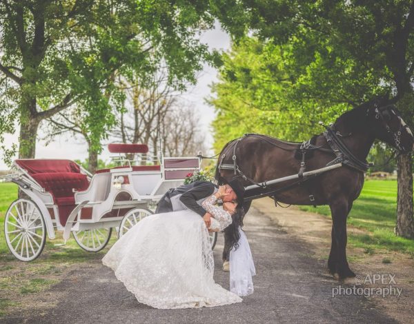 Reception Venues Listing Category Country Weddings and Events Country Weddings and Events