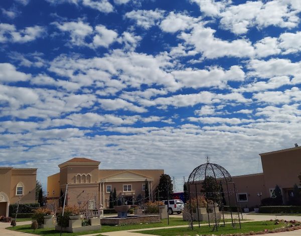 Reception Venues Listing Category Dallas Palms (Wedding & Event Venue) Dallas Palms (Wedding & Event Venue)