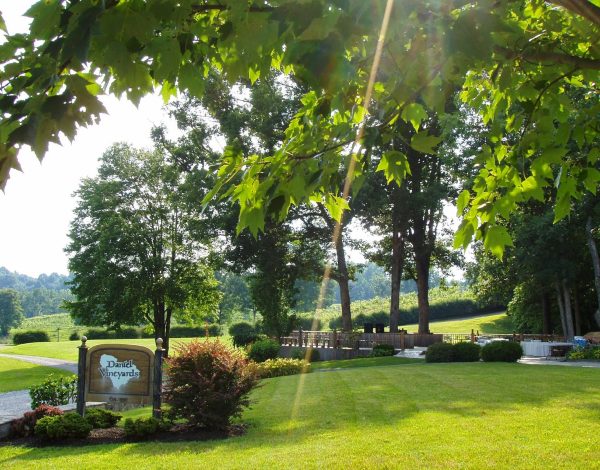 Reception Venues Listing Category Daniel Vineyards Daniel Vineyards