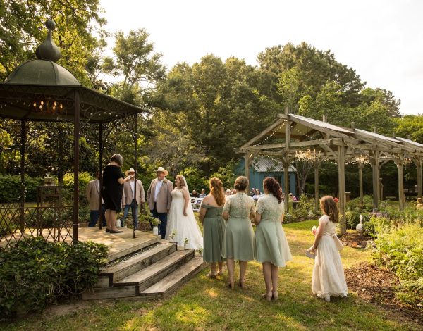 Reception Venues Listing Category Elmwood Gardens Elmwood Gardens