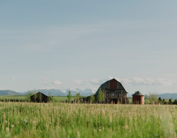 Reception Venues Listing Category Firelight Farm Firelight Farm