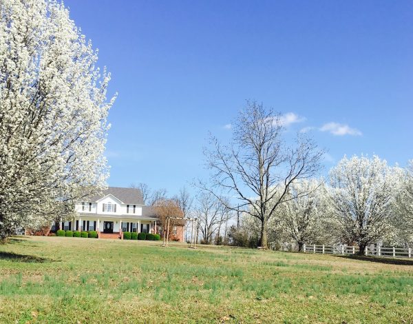 Reception Venues Listing Category Garland Springs Manor Garland Springs Manor