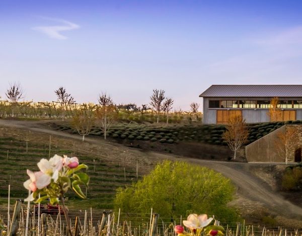 Reception Venues Listing Category Gilbert Cellars Gilbert Cellars