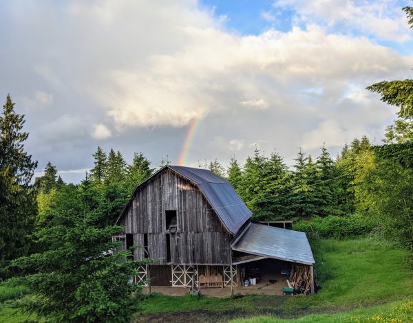 Reception Venues Listing Category Grey Owl Hollow Grey Owl Hollow