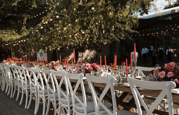 The wedding of tcouple Gallery 3