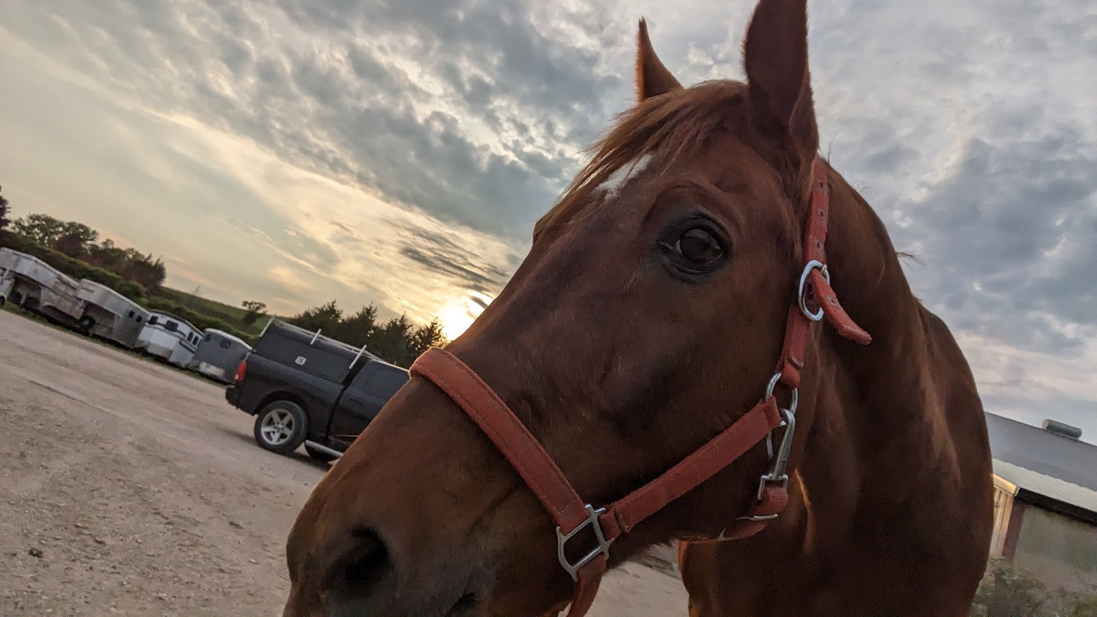 High Horse Stables - Wedding Venue | VowVenue.com