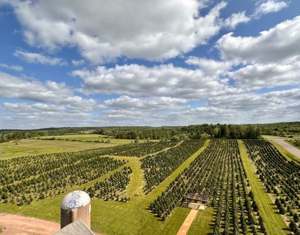 Reception Venues Listing Category Hillview Farms Wedding Barn, LLC Hillview Farms Wedding Barn