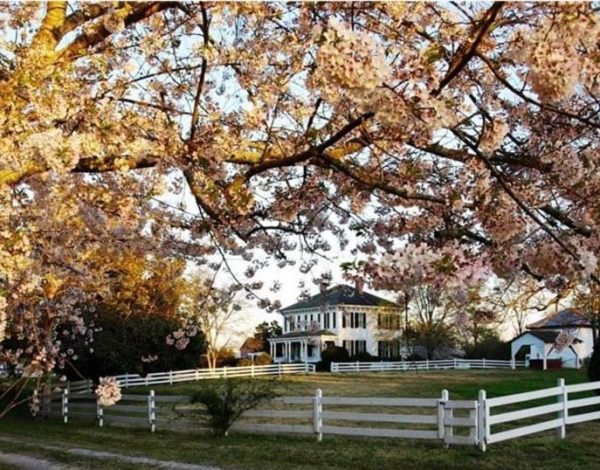 Reception Venues Listing Category Historic Brookfield Estate Historic Brookfield Estate