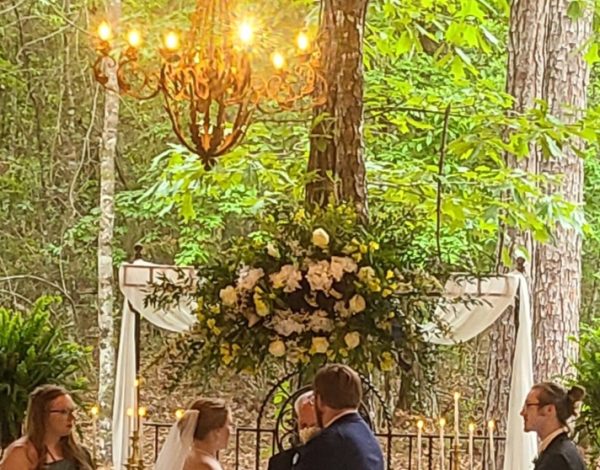 Reception Venues Listing Category In the Woods In the Woods