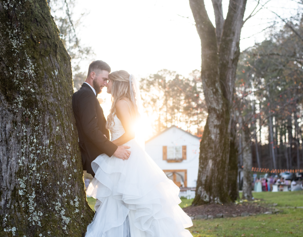 Reception Venues Listing Category Ivy & Oak Weddings Ivy & Oak Weddings
