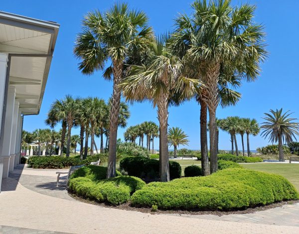 Reception Venues Listing Category Jekyll Island Convention Center Jekyll Island Convention Center