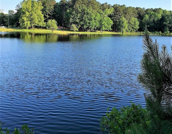 Reception Venues Listing Category Mockingbird Lake Venue Mockingbird Lake Venue