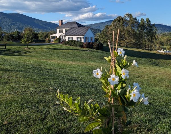Reception Venues Listing Category Mount Fair Vineyard Mount Fair Vineyard