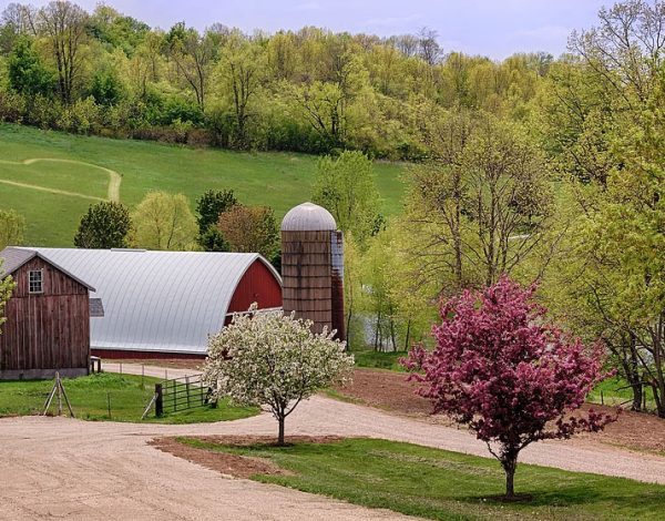 Reception Venues Listing Category Pioneer Creek Farm Pioneer Creek Farm