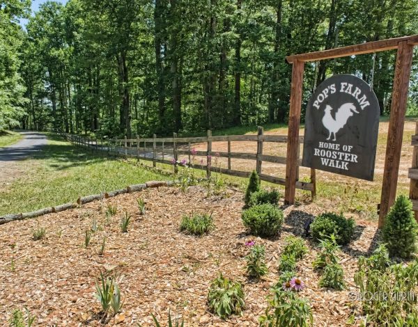 Reception Venues Listing Category Pops Farm Pops Farm