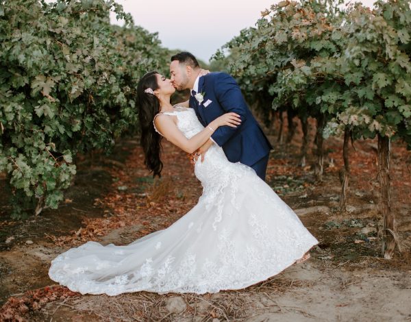 Reception Venues Listing Category San Joaquin Winery San Joaquin Winery