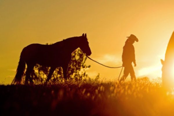 Reception Venues Listing Category Serenity Horse Stables Serenity Horse Stables
