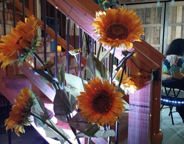 Reception Venues Listing Category Sixty Acres, A Gathering Place Sixty Acres