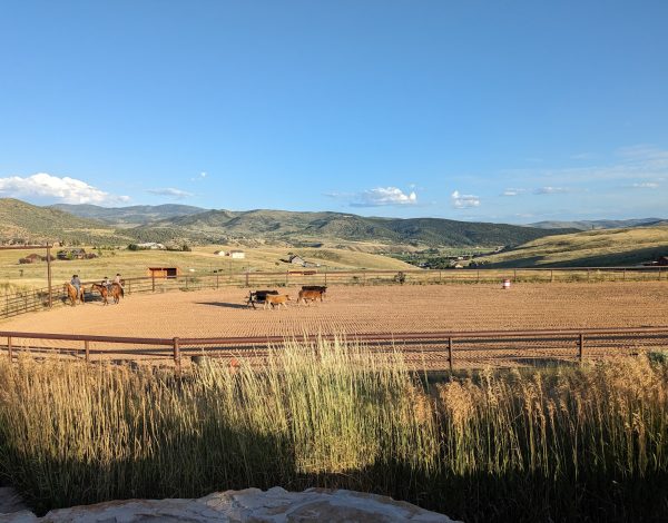 Reception Venues Listing Category Tag Ranch Tag Ranch