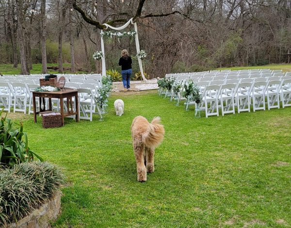Reception Venues Listing Category The Cedar Bend The Cedar Bend