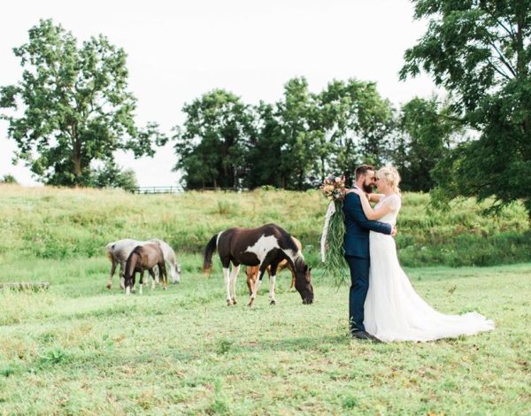 Reception Venues Listing Category The Farm at Harvest Hills The Farm at Harvest Hills