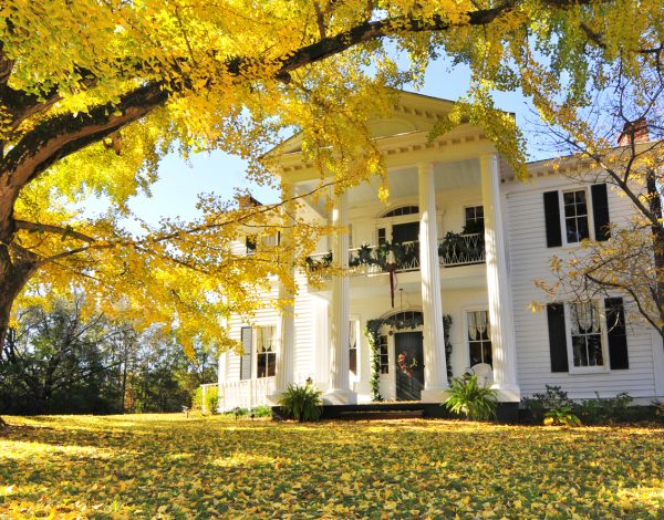 Reception Venues Listing Category The Mitchell House The Mitchell House