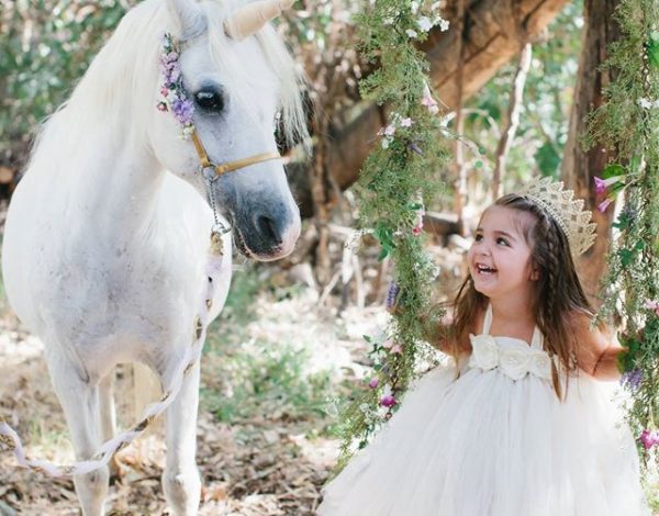 Reception Venues Listing Category The Olivia Venue The Olivia Venue