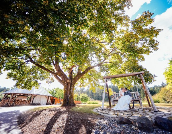 Reception Venues Listing Category The Orchard at Sunshine Hill The Orchard at Sunshine Hill