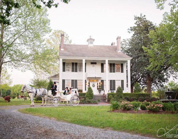 Reception Venues Listing Category The Palo Alto Plantation The Palo Alto Plantation
