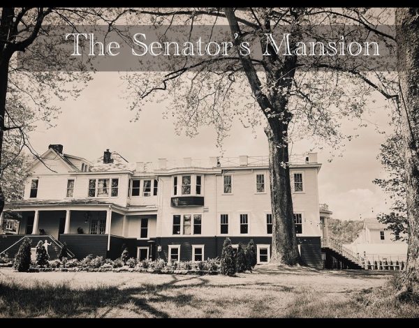Reception Venues Listing Category The Senators Mansion The Senators Mansion