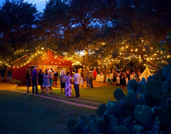 Reception Venues Listing Category The Wildflower Barn The Wildflower Barn