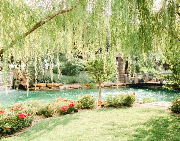 Reception Venues Listing Category The Willows Event Center The Willows Event Center