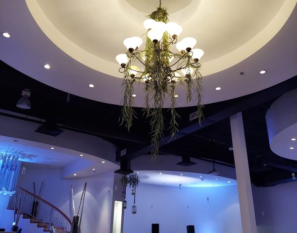 Reception Venues Listing Category VIP La Fontaine Reception Hall VIP La Fontaine Reception Hall
