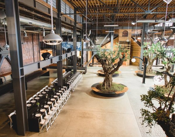 Reception Venues Listing Category Venue 808 Venue 808