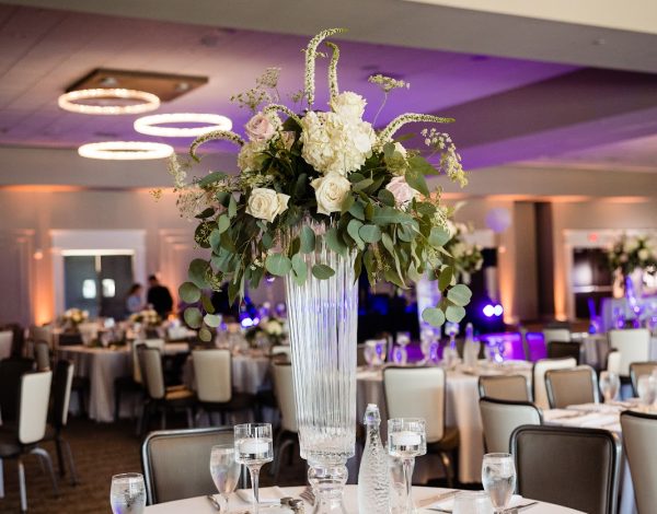 Reception Venues Listing Category Waypoint 4180 Waypoint 4180
