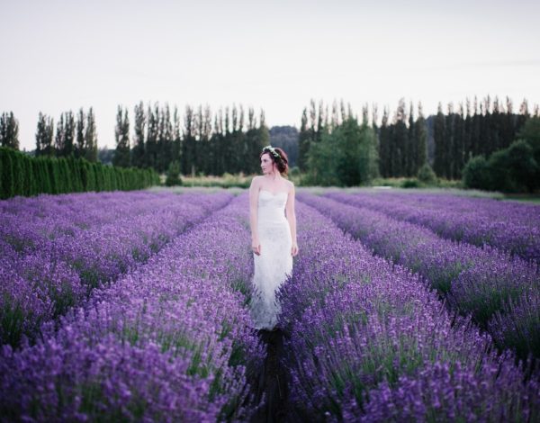 Reception Venues Listing Category Woodinville Lavender Woodinville Lavender