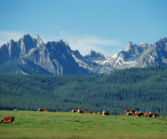 VowVenue.com Listing Location Taxonomy Central Idaho/Sawtooth