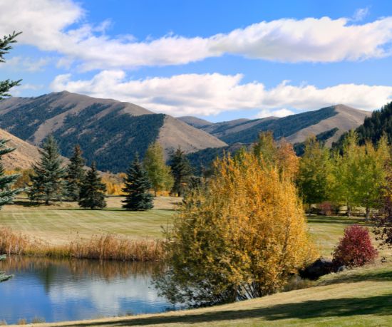VowVenue.com Listing Location Taxonomy Sun Valley/Magic Valley