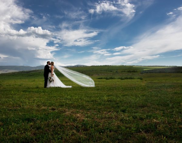 Reception Venues Listing Category Bar 7 Bed Bath and Barn Bar 7 Bed Bath and Barn