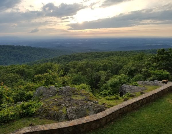 Blue Mountain Lodge Blue Mountain Lodge